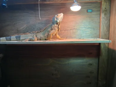 Karma’s A Fish celebrates anniversary